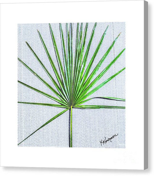 Palm frond 1 - Canvas Print